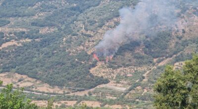 L’INCENDIO DI ZONA COLAMARCO È STATO DOMATO