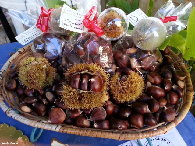 castagne