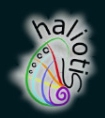 logo_haliotis