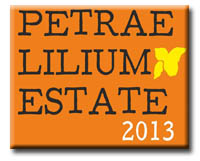 logo_ESTATE2013