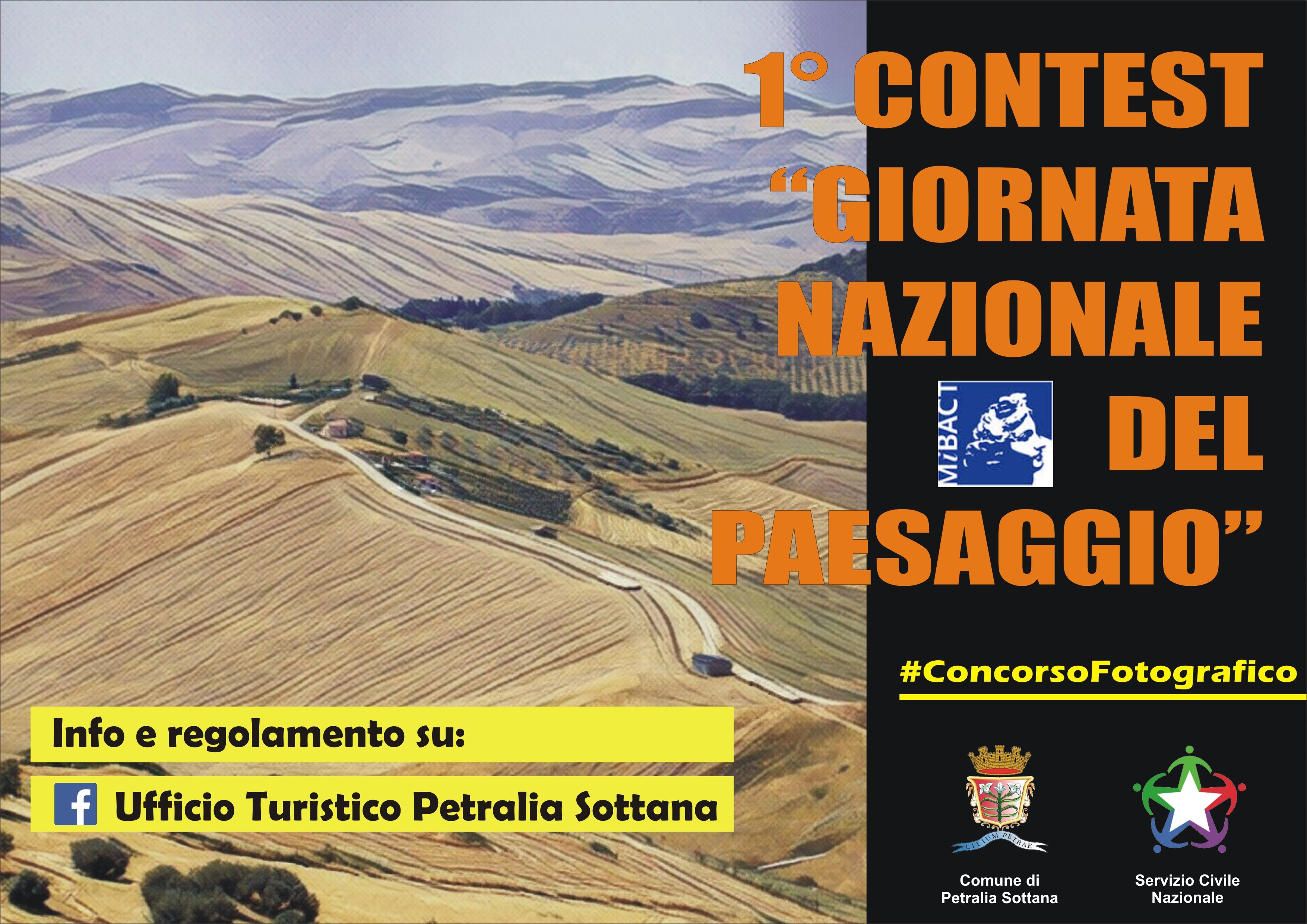 locandina concorsoGNP web