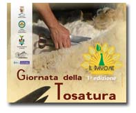 logo_tosatura